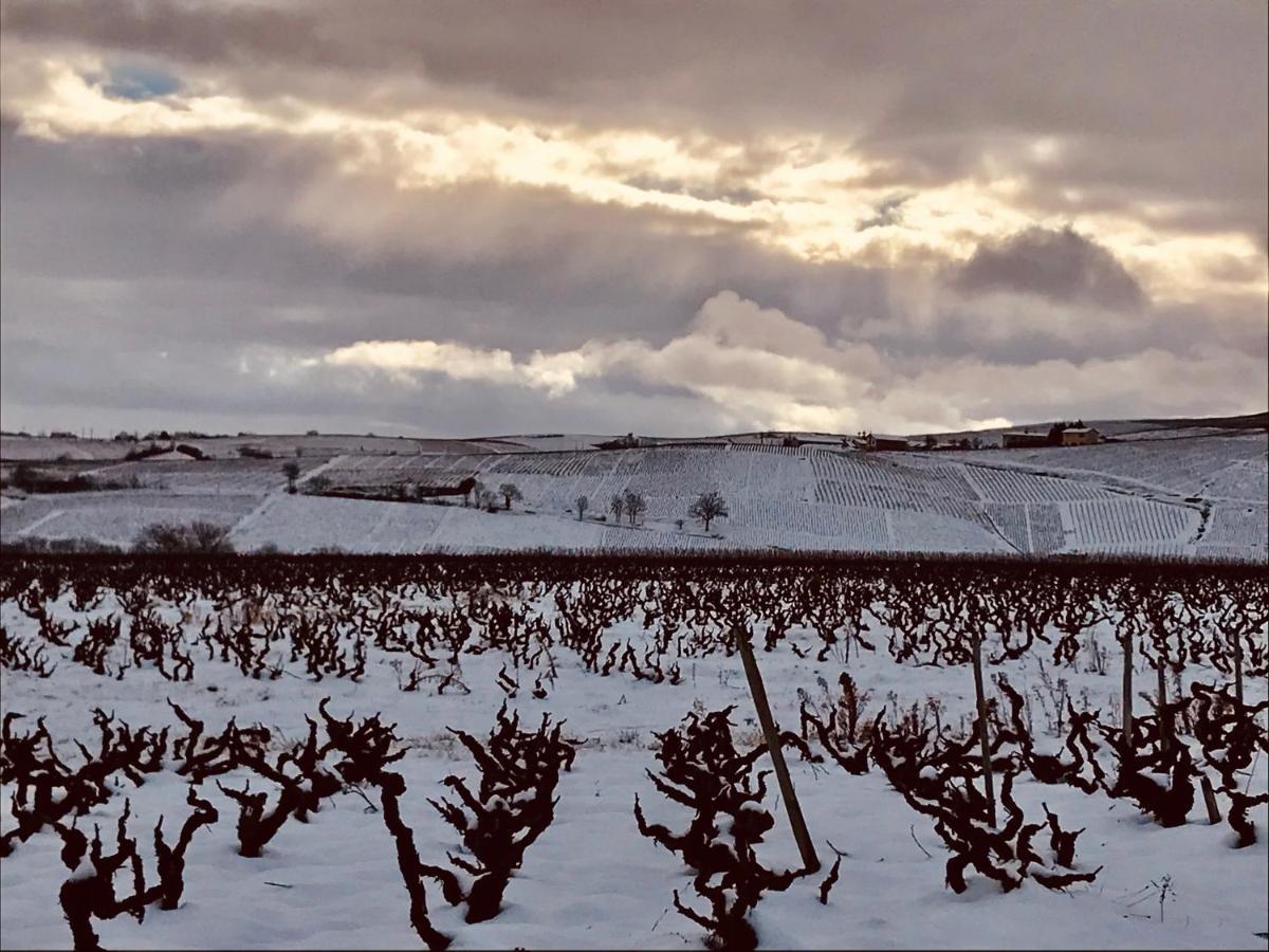 La Boheme, Gite De Charme Quincie-en-Beaujolais Exterior photo